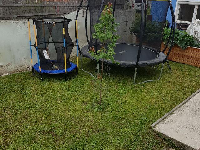 Ihr Haus mit großem Garten in Bisamberg 953 m² Grund, nur wenige Minuten nach Wien