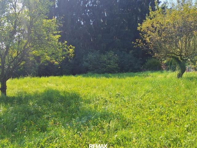 Ihr Logenplatz in Wildon Baugrundstück mit Aussicht, Sonne & Privatsphäre