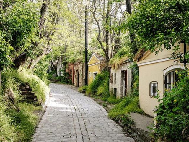 Ihr neues Familiendomizil in Stammersdorf Einzigartige Wohnqualität auf 317 m²