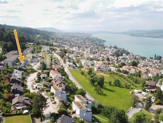 Ihr neues Zuhause mit Panoramasicht von Zürich bis in die Alpen