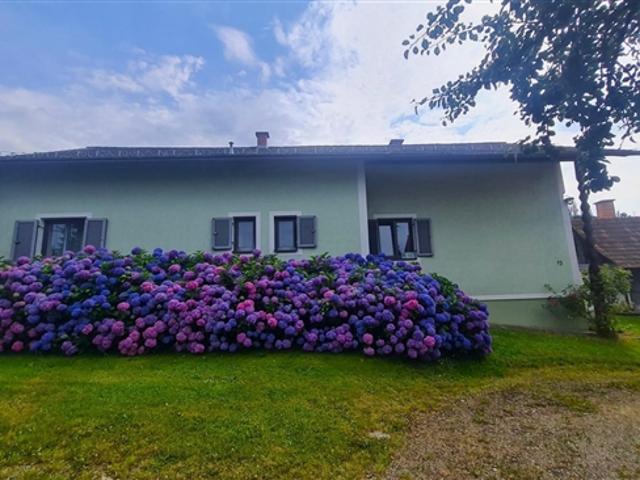 Ihr Stück Paradies unweit von Graz, am Beginn des Südsteirischen Weinlandes – Landwirtschaft mit Potenzial