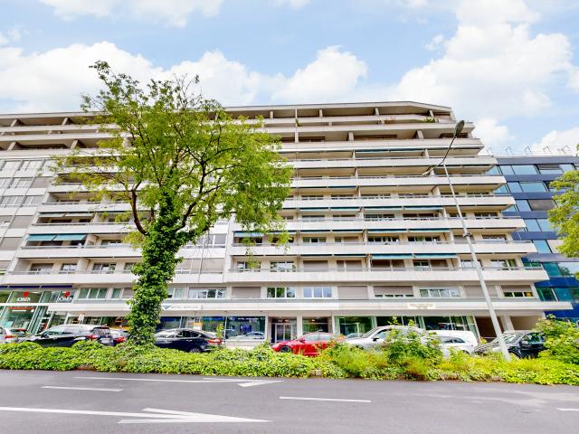 Ihr Studio in der Nähe des Genfersees