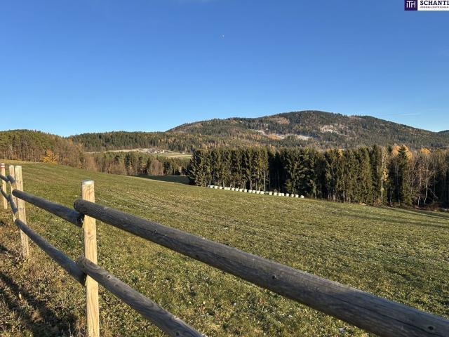 Ihr Platz Für Visionen Grundstück mit Panorama in der Steiermark! Idyllisch & Unvergleichlich! Vereinbaren sie Jetzt Ihren Besichtigungstermin