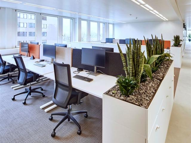Ihr privates Einzelbüro – Perfekte Ausstattung mit Wohlfühlfaktor