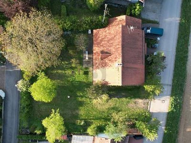 IHR RUHIGES PLÄTZCHEN IN DER SONNE