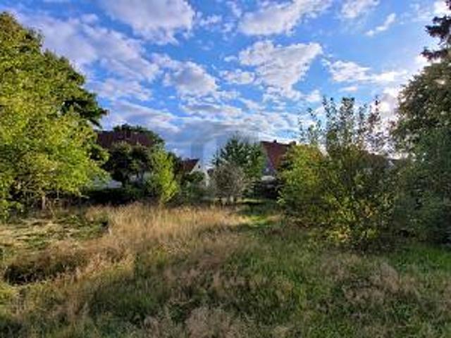 IHR TINY HAUS BEGINNT HIER