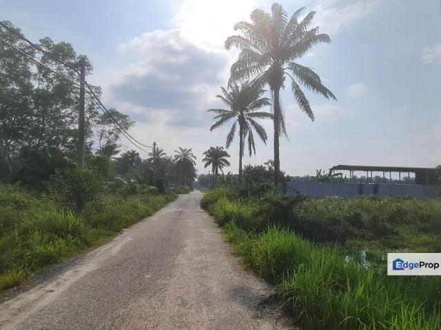 Ijok