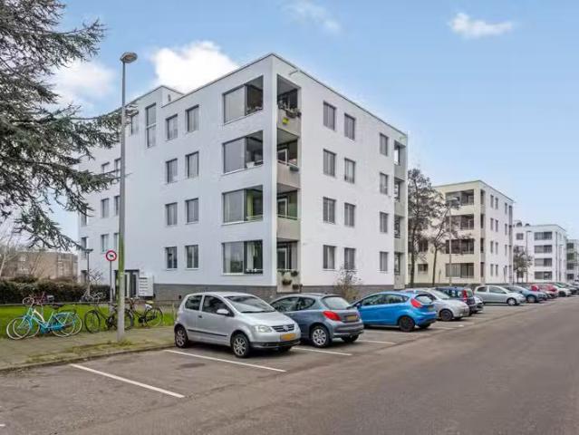 IJplein 167 Amsterdam