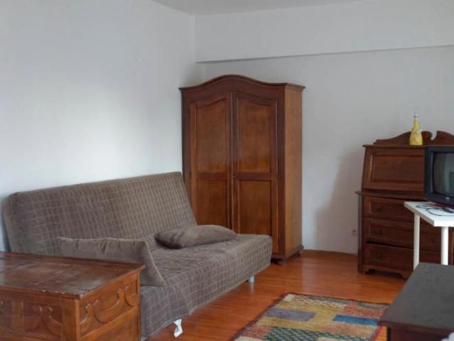 Ion Mihalache Banu Manta Pet friendly inchiriere garsoniera