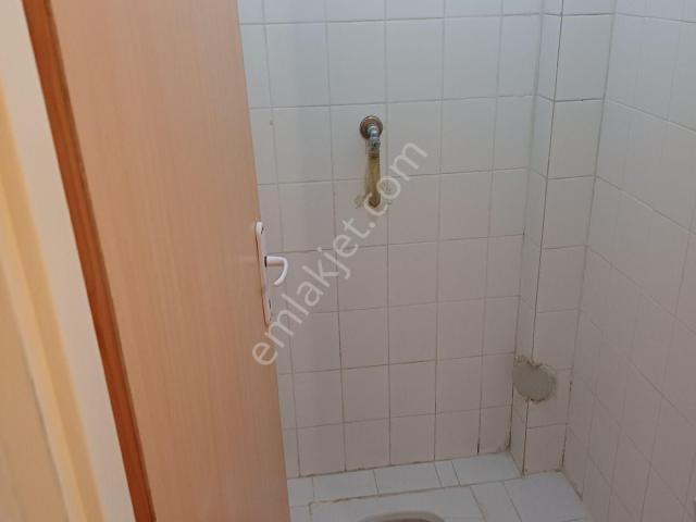Ildwm F Ywedsılyurt Secıılı 43+1