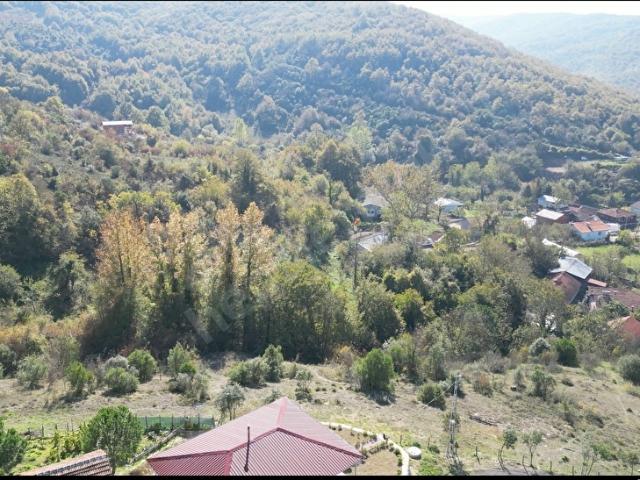 Şile Çataklı Köyünde 1.201 m Satılık Tarla