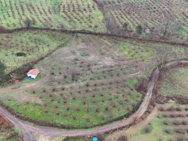 Şile Çataklı Mahallesinde Yola Cepheli Müstakil Fındıklık