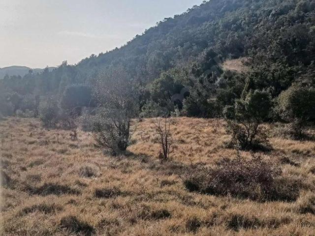 Şile buçaklıda kaçırılmayacak fırsat satılık arsa