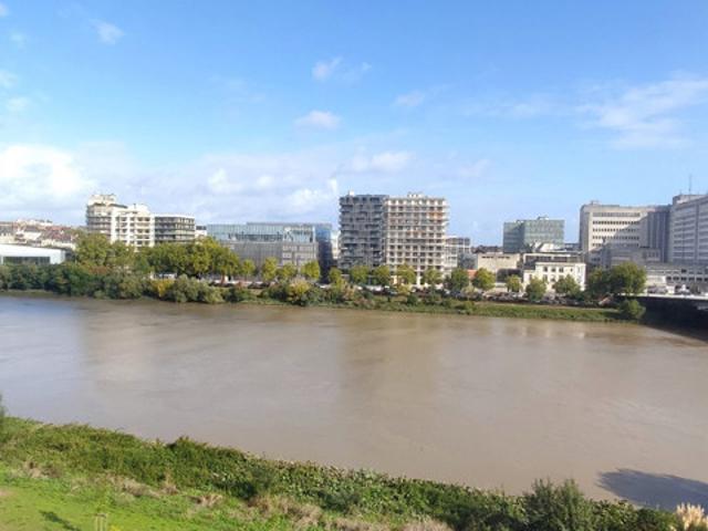 ÎLE DE NANTES – BORDS DE LOIRE – VUE IMPRENABLE – BIEN RA