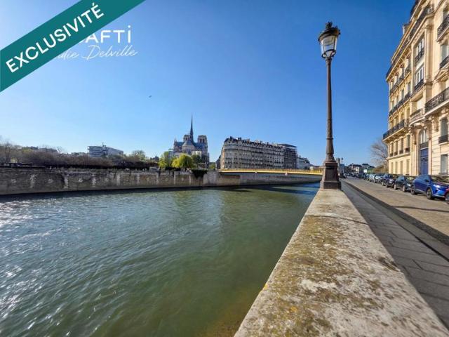 Île Saint Louis T2 60m² au sol 39m²