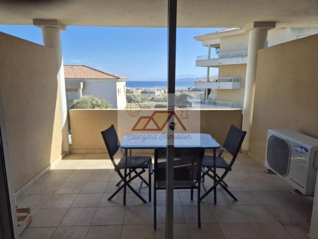 APPARTEMENT LOUE. ILE ROUSSE. T2 A LOUER A L'ANNEE
