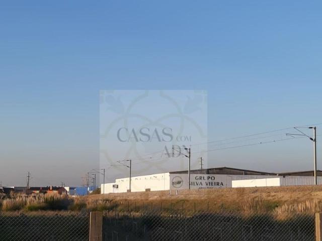 Ílhavo Ílhavo 103493349