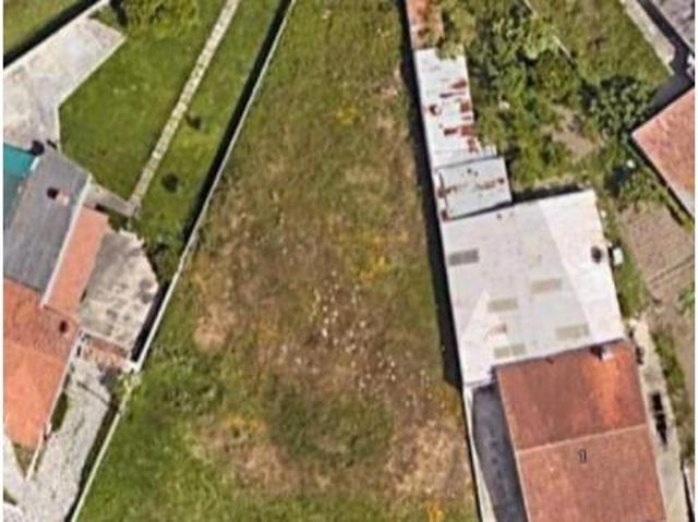 Ílhavo Ílhavo 103619192