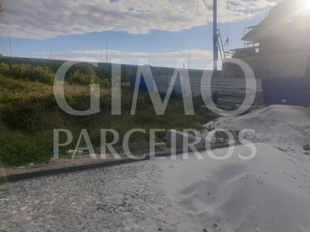 Ílhavo Ílhavo 104047842