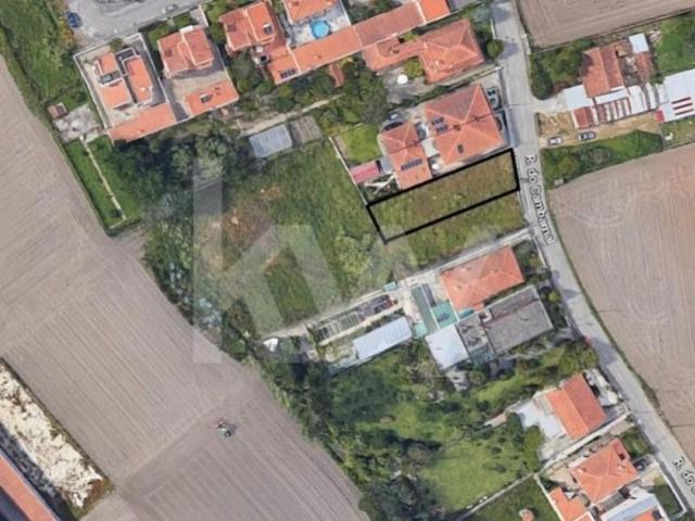 Ílhavo Ílhavo 91354699
