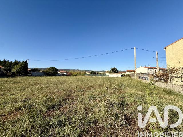 Ille sur Têt Vente Terrain 66