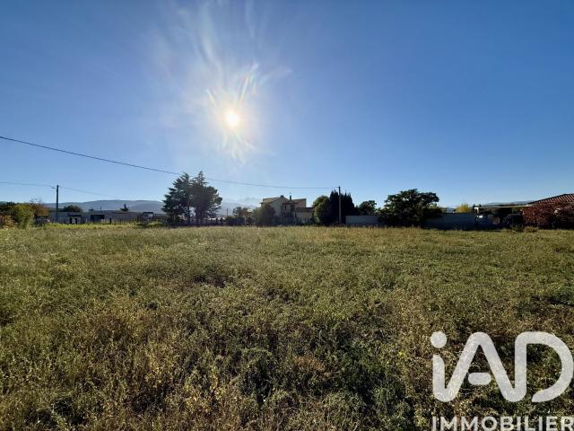 Ille sur Têt Vente Terrain 66