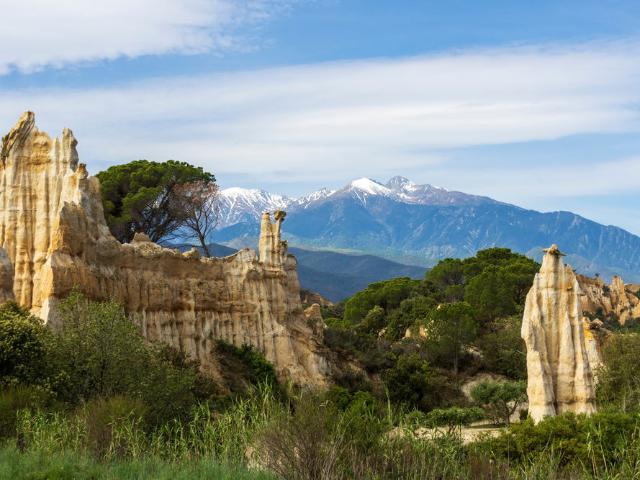 Ille sur Têt Vente Terrain 66
