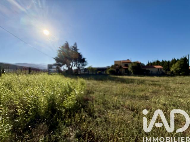 Ille sur Têt Vente Terrain 66