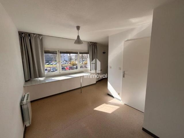 ILLKIRCH GRAFFENSTADEN 1P 19.78m²