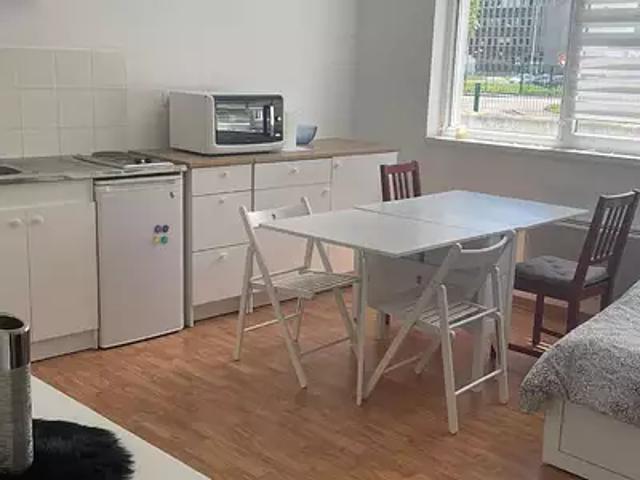 Illkirch Graffenstaden 67400 Location appartement 1 pièce t1 parking