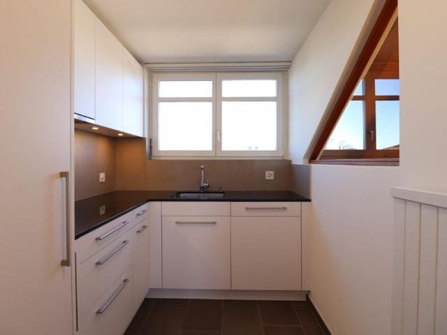 Im beliebten Freuler Quartier moderne Maisonette Dachwohnung mit 2 Balkonen