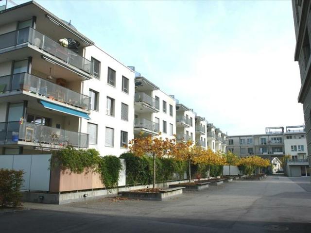 Im Steinhofquartier