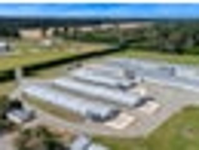 Immaculate Broiler Farm: Scale & Income