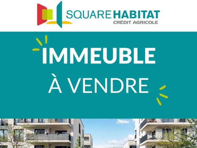Immeuble 6 pièces Savenay 44