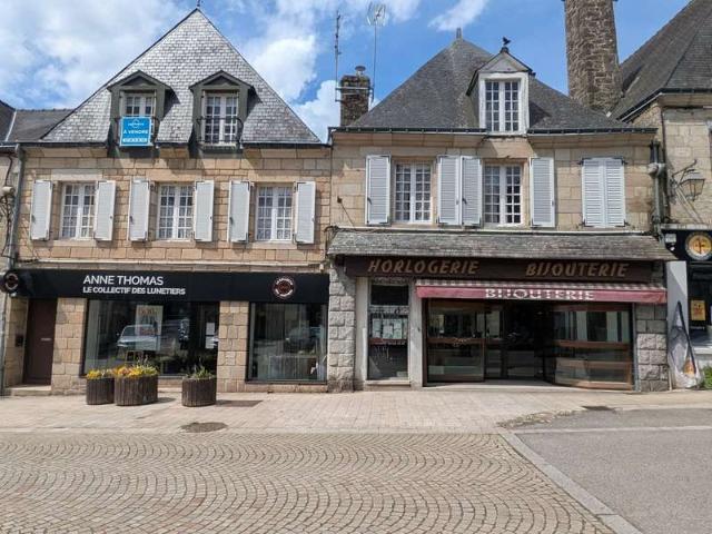Immeuble 11 pièces Guémené sur Scorff 56
