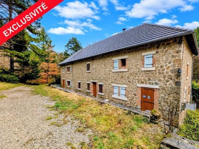 Immeuble 12 pièces