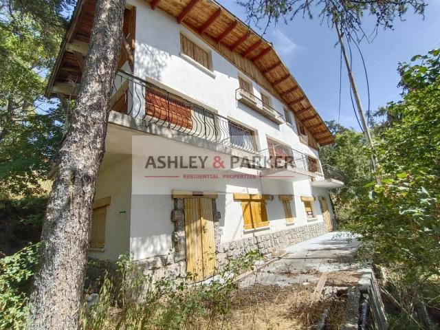 Immeuble 228m² Péone Valberg