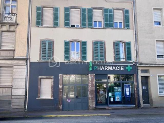 Immeuble 256 m2 hypercentre de Sarreguemines rénové & loué Lot de 4 appartements Rentabilité immédiate Spécial Investisseurs !