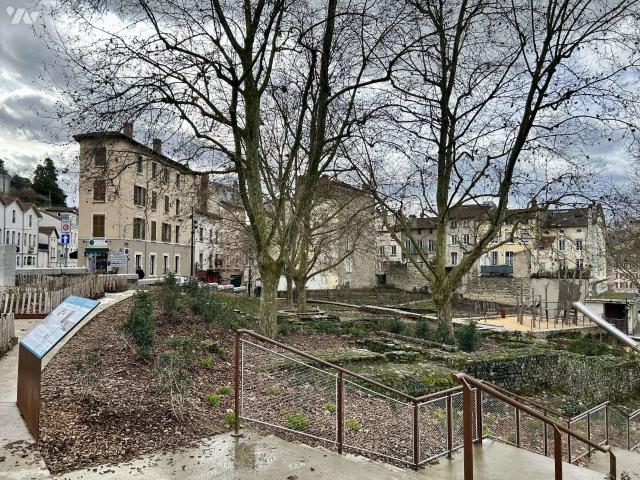 Immeuble Vienne 38