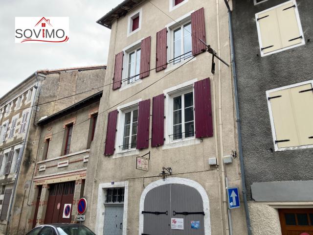 IMMEUBLE A INVESTISSEMENT LOCATIF: 2 APPTS + 1 LOCAL COMMERCIAL