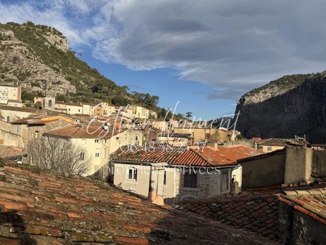 IMMEUBLE avec rendement locatif en place