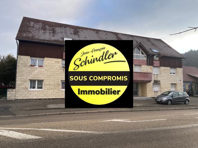 IMMEUBLE avec 6 appartements DUPLEX MASEVAUX