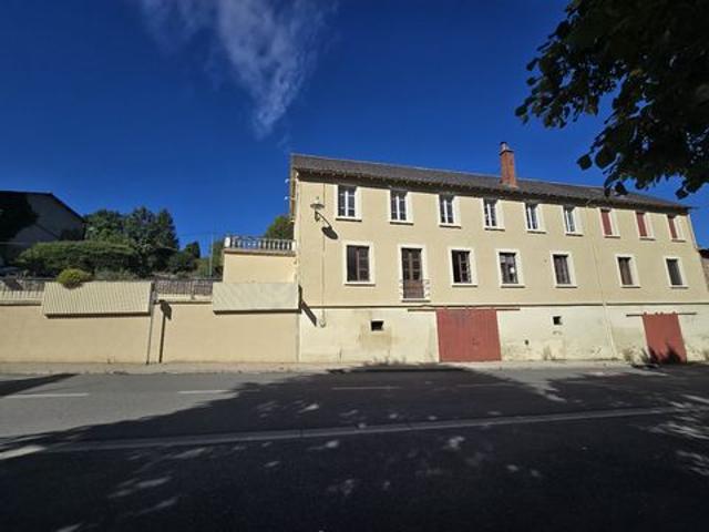 Immeuble Chateau 323 m2 salmiech