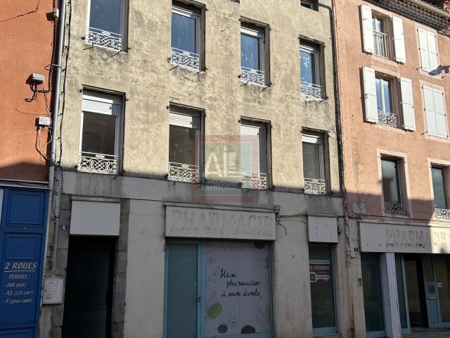 Immeuble commercial et résidentiel avec maison indépendante