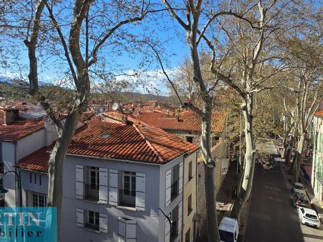 Immeuble de caractère 308m² Céret