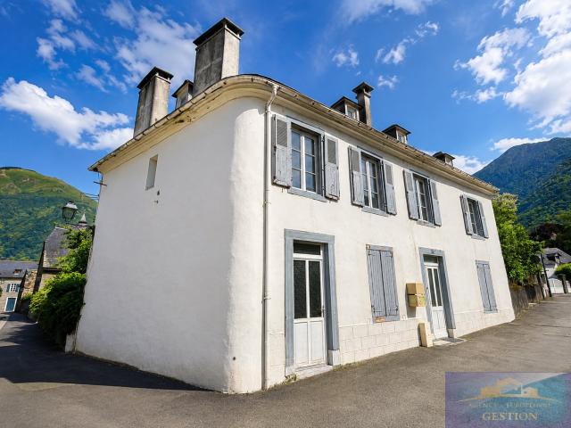 Immeuble de caractère au cœur de la Vallée des Gaves Habitation principale et investissement locatif réunis
