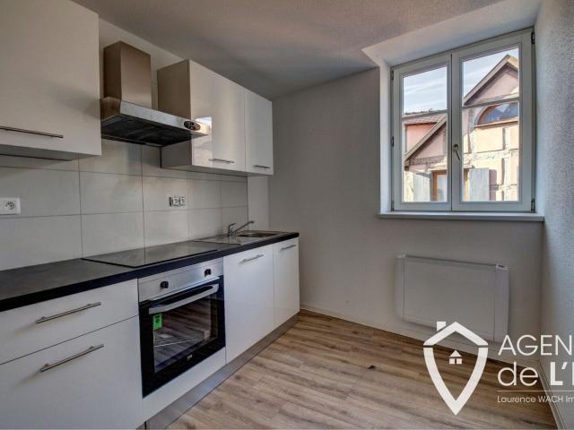 Immeuble de rapport avec local commercial et deux appartemen. 140m² Sélestat