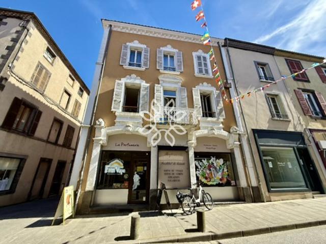 IMMEUBLE DE RAPPORT INVESTISSEMENT LOCATIF FORT POTENTIEL D’OPTIMISATION