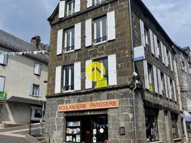IMMEUBLE de RAPPORT