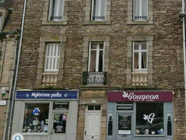 Immeuble en vente à Elven, Bretagne, 420000€